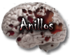 anillos rings metal rock skulls delivery domicilios envios bogota colombia medellin other ipiales tunja ibague cali manizales cartagena cucuta washington los angeles las vegas california seattle chicago detroit baltimore
